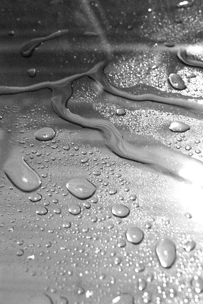 Black and white_0018